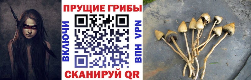 Псилоцибиновые грибы мухоморы  Дагестанские Огни 